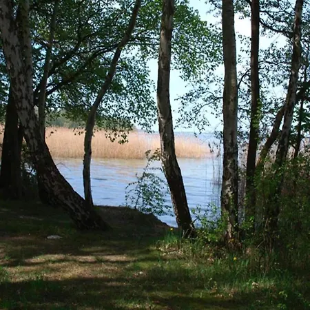 Skandinavisches In