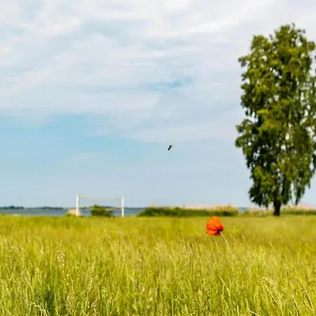 Skandinavisches In Hébergement de vacances Rechlin
